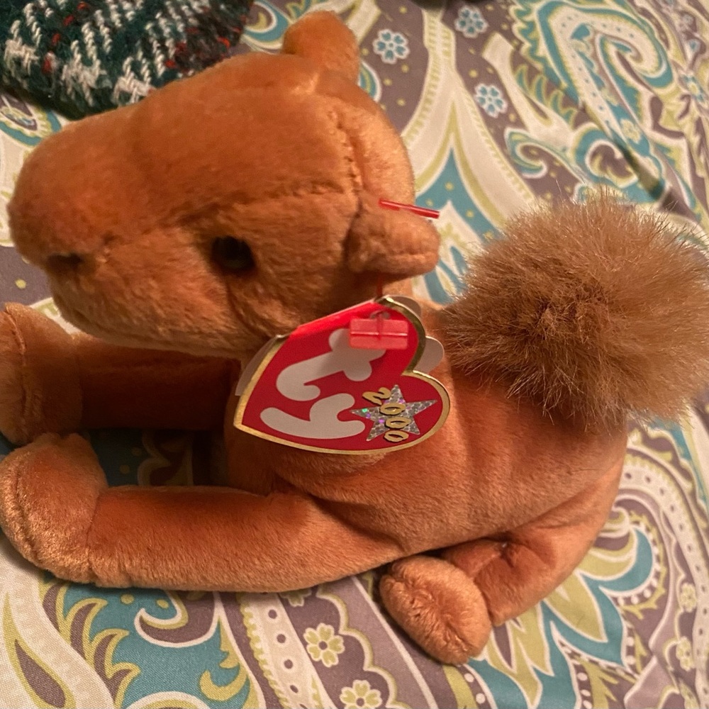 Camel Beanie